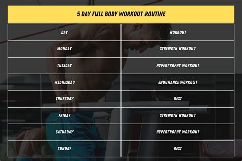 full body 5 days a week|5 day full body workout pdf.